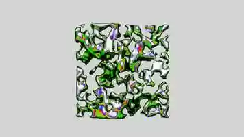 Free download Human Nature [Elevate 2020] video and edit with RedcoolMedia movie maker MovieStudio video editor online and AudioStudio audio editor onlin